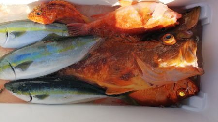 第二龍勢丸 釣果