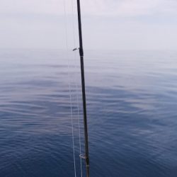 第二龍勢丸 釣果