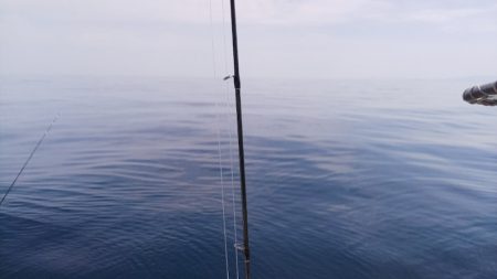 第二龍勢丸 釣果