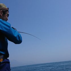 遊漁船　家入 釣果