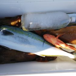 第二龍勢丸 釣果