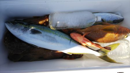 第二龍勢丸 釣果