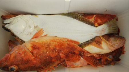 第二龍勢丸 釣果