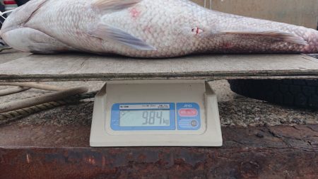 ARCADIAⅡ (アルカディアⅡ) 釣果