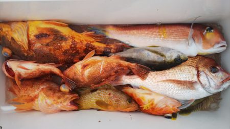 第二龍勢丸 釣果