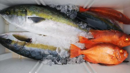 第二龍勢丸 釣果