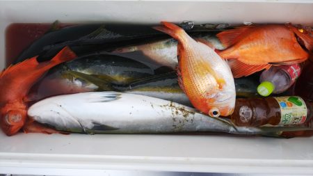 第二龍勢丸 釣果