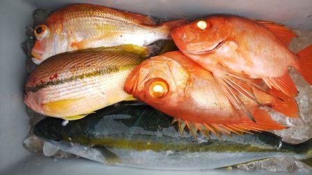 第二龍勢丸 釣果