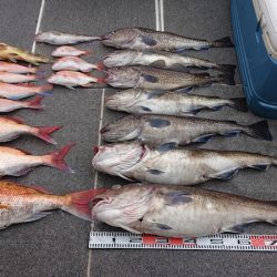 ARCADIAⅡ (アルカディアⅡ) 釣果