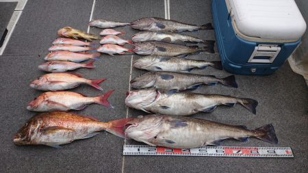 ARCADIAⅡ (アルカディアⅡ) 釣果