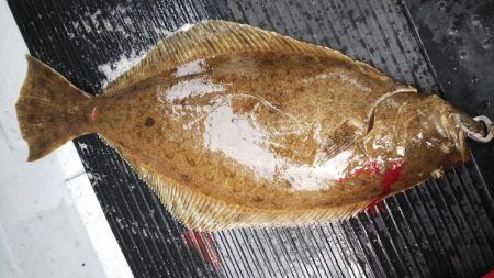 第二龍勢丸 釣果