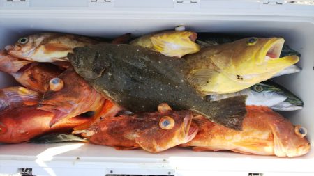 第二龍勢丸 釣果