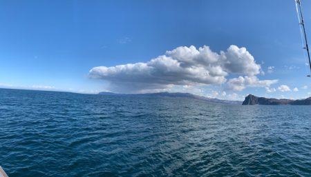 シーランチ 釣果