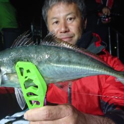 シースナイパー海龍 釣果