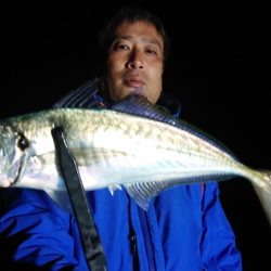 シースナイパー海龍 釣果