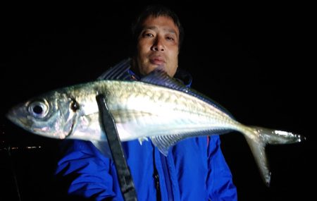 シースナイパー海龍 釣果
