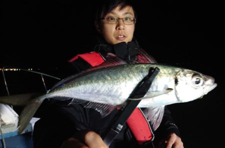 シースナイパー海龍 釣果