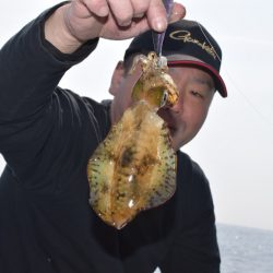 渡船屋たにぐち 釣果