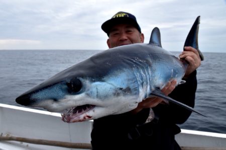 渡船屋たにぐち 釣果