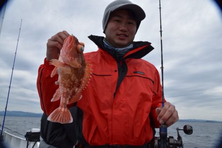 渡船屋たにぐち 釣果