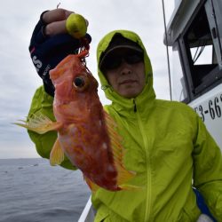 渡船屋たにぐち 釣果