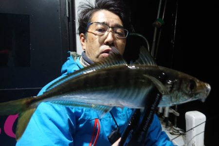 シースナイパー海龍 釣果