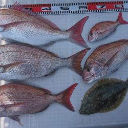 遊漁船　家入 釣果