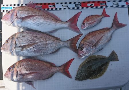 遊漁船　家入 釣果