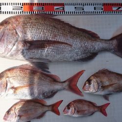 遊漁船　家入 釣果