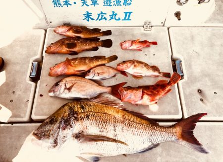 末広丸(熊本) 釣果
