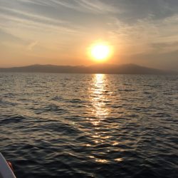 龍神丸(鹿児島) 釣果