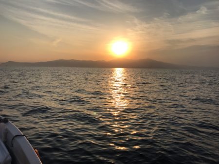 龍神丸(鹿児島) 釣果