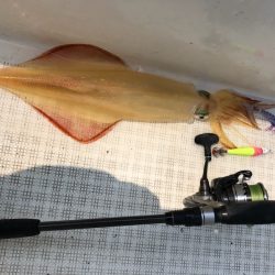 「LaGooN」蒼陽丸 日和号 釣果