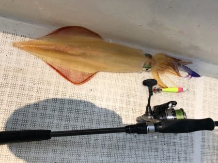 「LaGooN」蒼陽丸 日和号 釣果