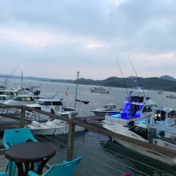 末広丸(熊本) 釣果