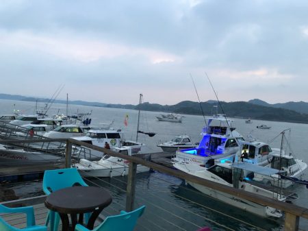 末広丸(熊本) 釣果