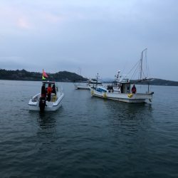 末広丸(熊本) 釣果