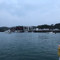 末広丸(熊本) 釣果