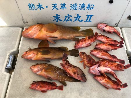 末広丸(熊本) 釣果