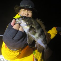 Chase（チェイス） 釣果