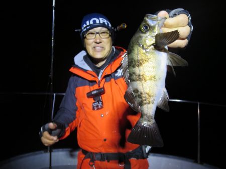 Chase（チェイス） 釣果