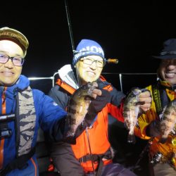 Chase（チェイス） 釣果