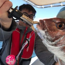 龍神丸(鹿児島) 釣果