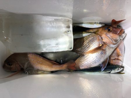 第二八坂丸 釣果