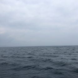 「LaGooN」蒼陽丸 日和号 釣果