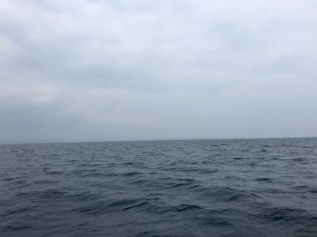 「LaGooN」蒼陽丸 日和号 釣果