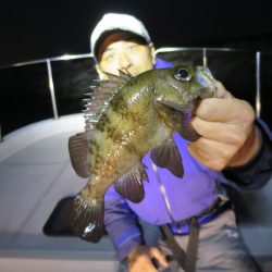 Chase（チェイス） 釣果