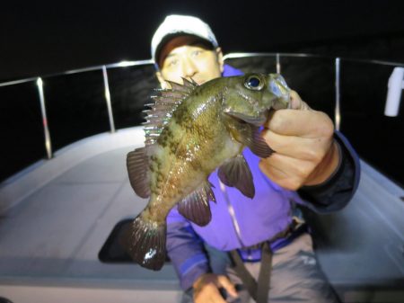 Chase（チェイス） 釣果