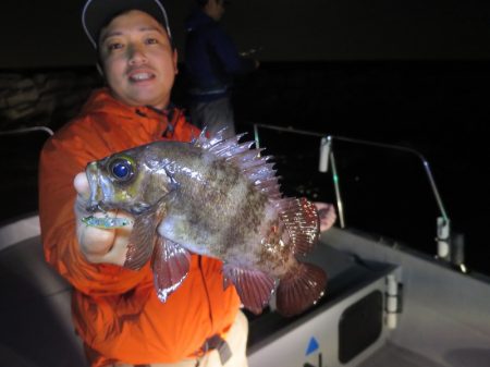 Chase（チェイス） 釣果