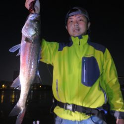 Chase(チェイス) 釣果